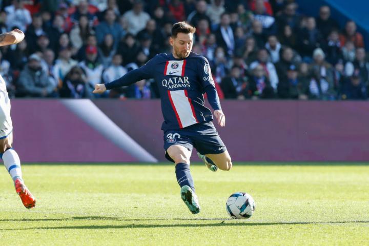 两位新星的 两位新星的