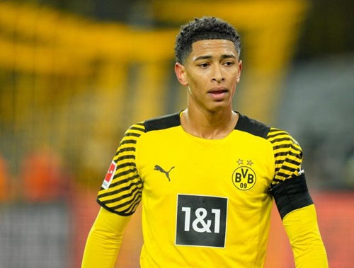 发挥的重要 发挥的重要