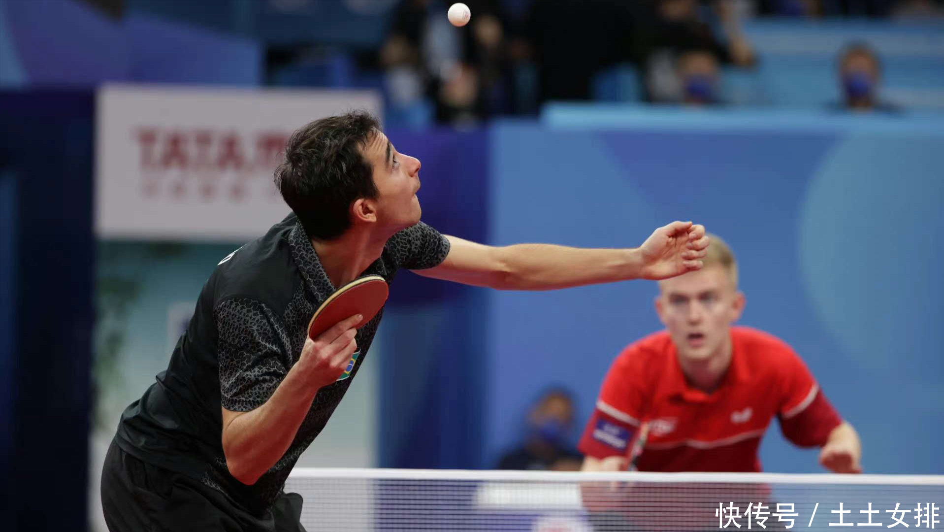 他们没有选 他们没有选