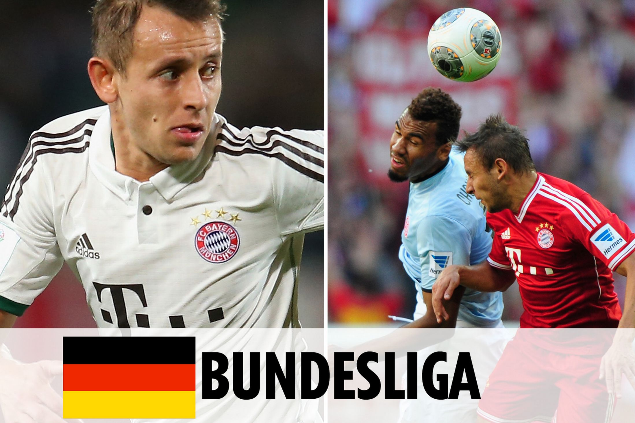 供了理解他 供了理解他