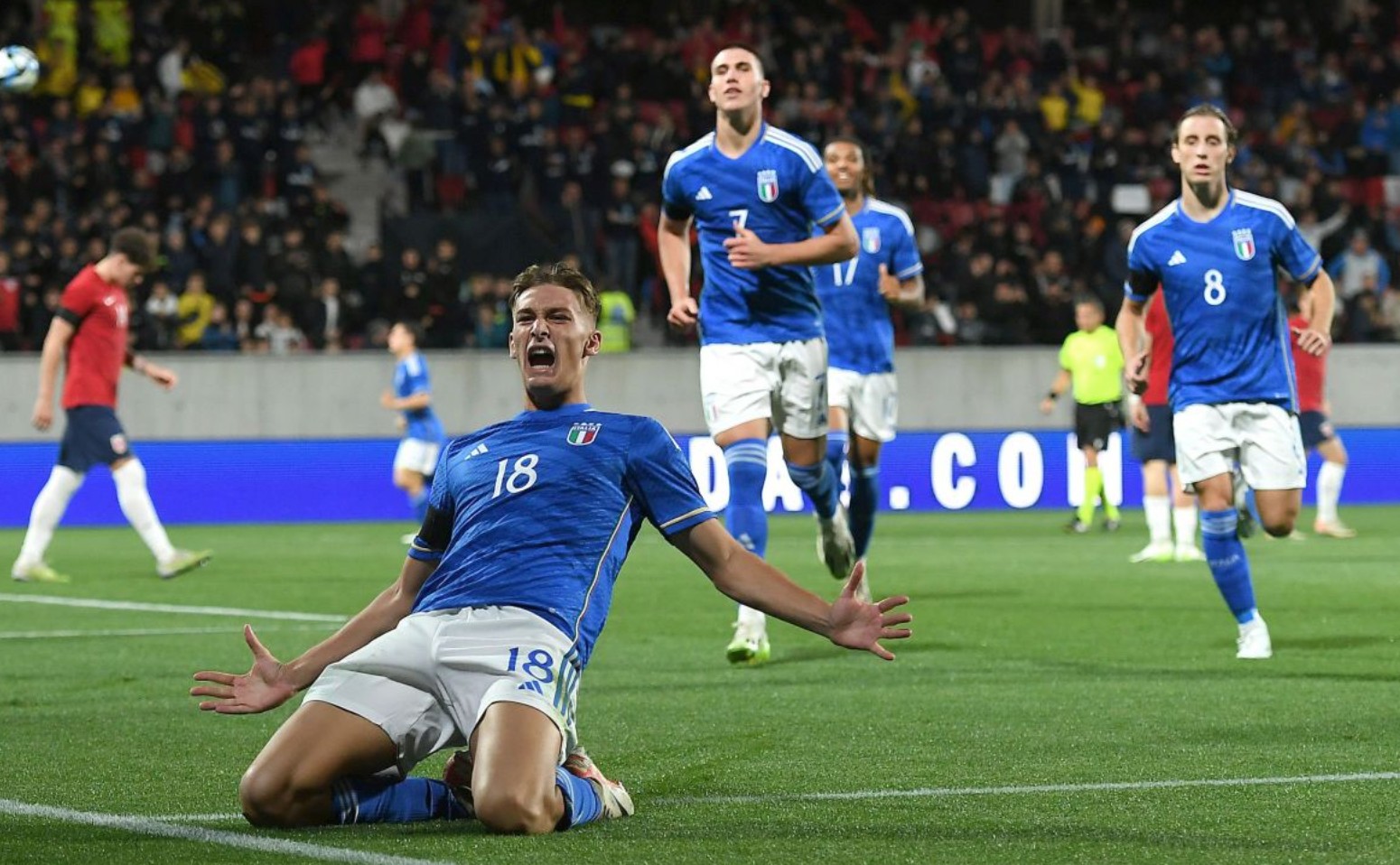 止于补强 止于补强